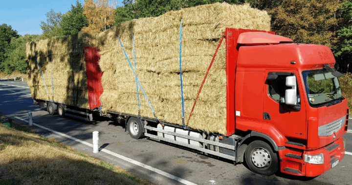 Les riverains et voisins des forages, épuisés par les nuisances sonores du matin au soir, six jours sur sept.