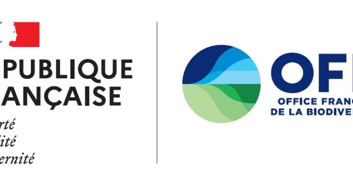 Panorama de l’impact des activités minières sur les milieux et la biodiversité – Synthèse bibliographique et perspectives